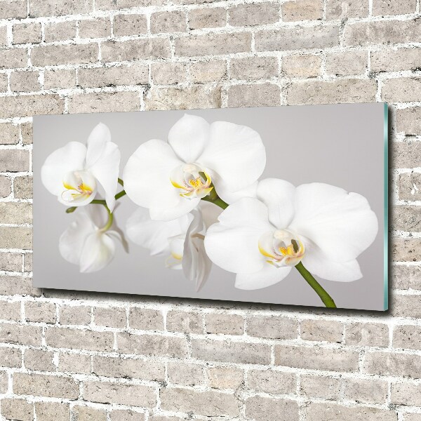 Schilderij glas Orchidee