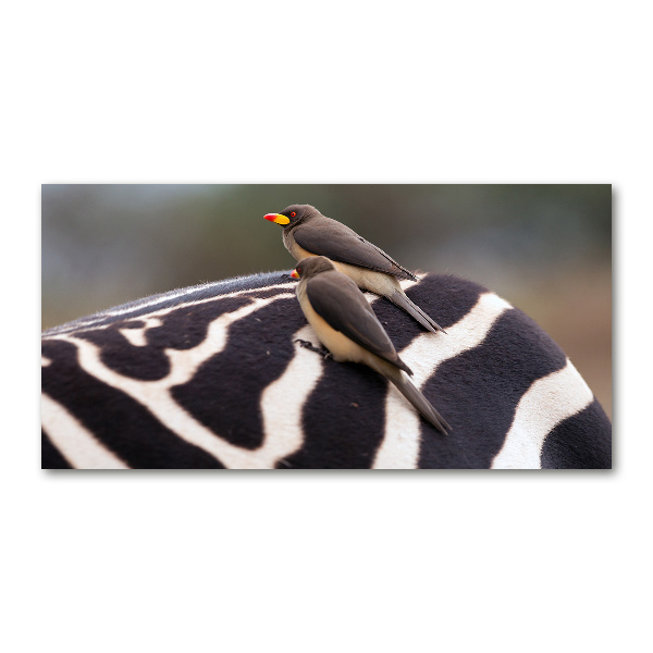 Schilderij op glas Vogels en zebra's