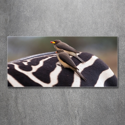 Schilderij op glas Vogels en zebra's