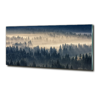 Schilderij glas Mist boven het bos