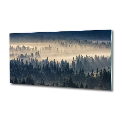 Schilderij glas Mist boven het bos