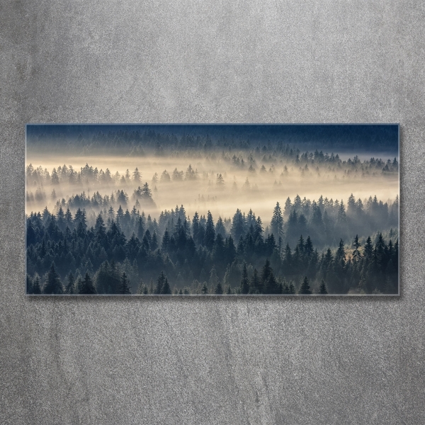 Schilderij glas Mist boven het bos