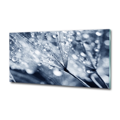 Glazen schilderij Paardenbloemzaden