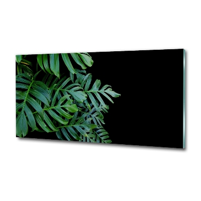 Schilderij op glas Monstera