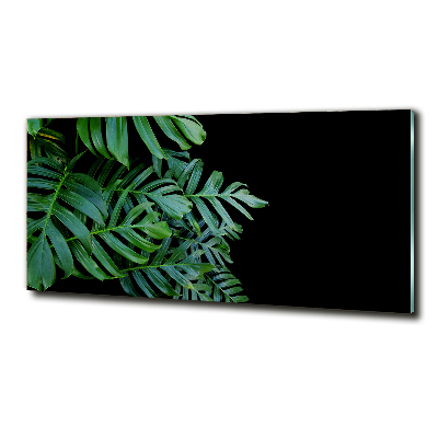 Schilderij op glas Monstera