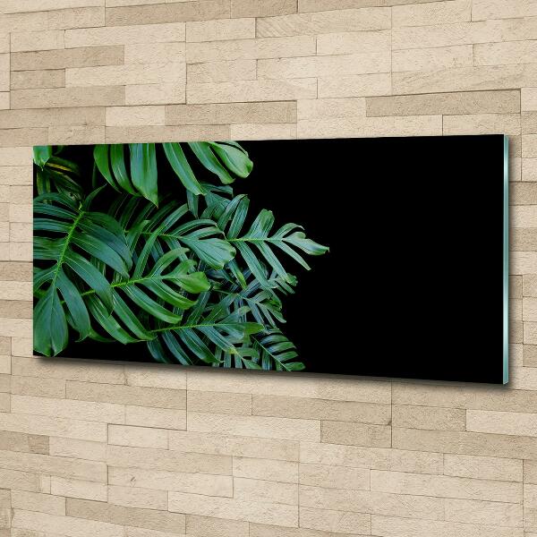 Schilderij op glas Monstera