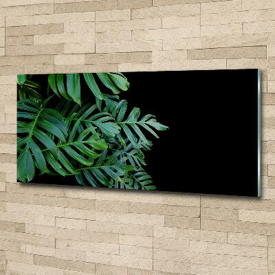 Schilderij op glas Monstera