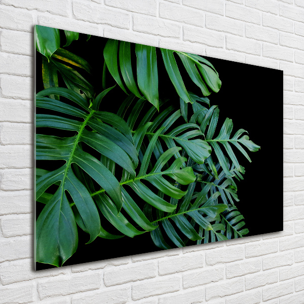 Schilderij op glas Monstera