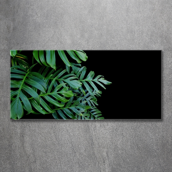 Schilderij op glas Monstera