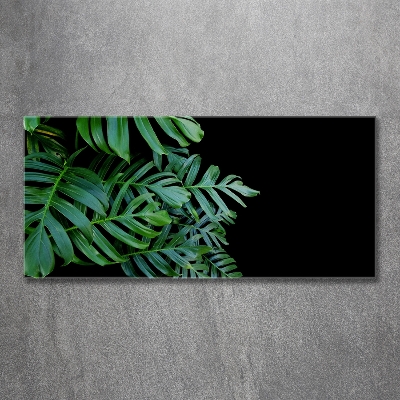 Schilderij op glas Monstera