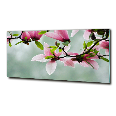 Schilderij glas Magnolia