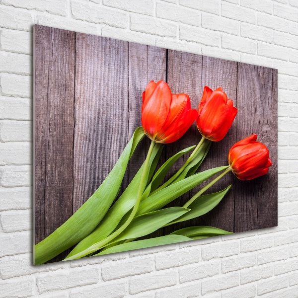 Glazen schilderij Rode tulpen