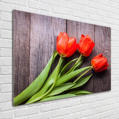 Glazen schilderij Rode tulpen