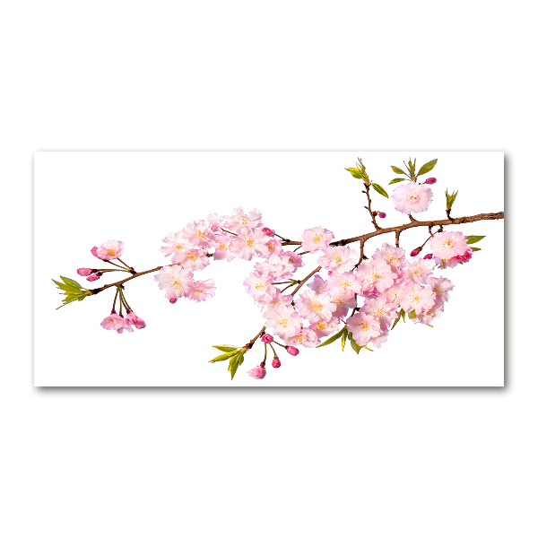 Schilderij op glas Doorn