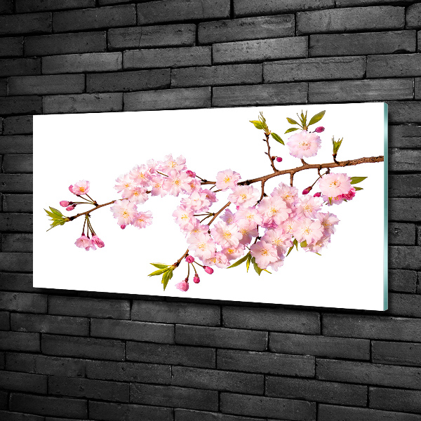 Schilderij op glas Doorn