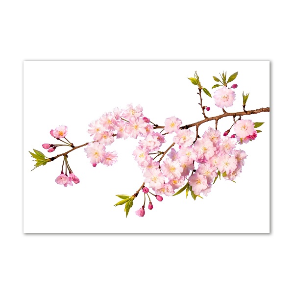 Schilderij op glas Doorn