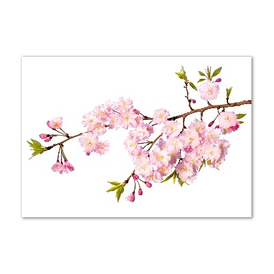 Schilderij op glas Doorn