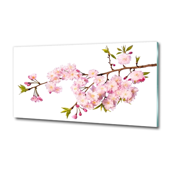 Schilderij op glas Doorn