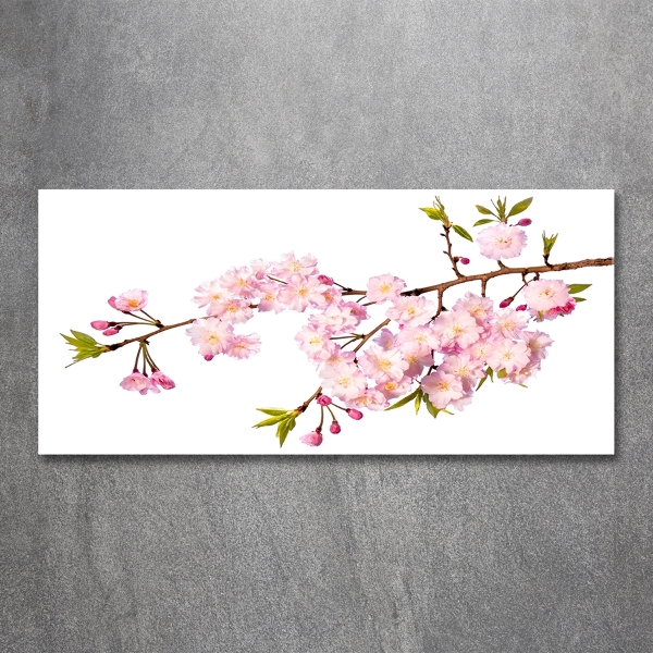 Schilderij op glas Doorn