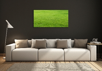Foto schilderij op glas Groen gras