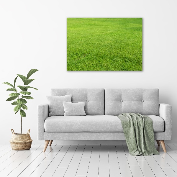 Foto schilderij op glas Groen gras