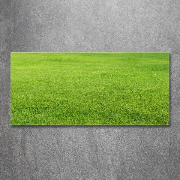 Foto schilderij op glas Groen gras