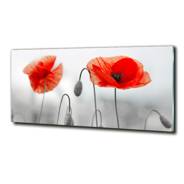 Glazen schilderij Klaprozen