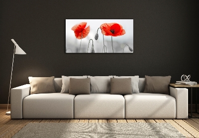 Glazen schilderij Klaprozen