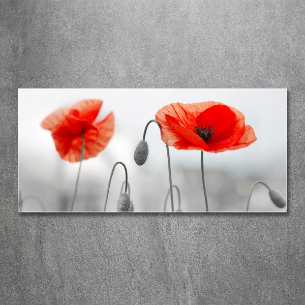 Glazen schilderij Klaprozen