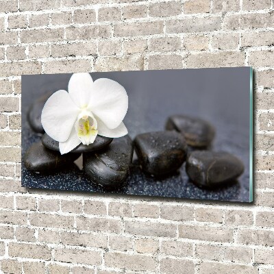 Foto schilderij op glas Orchidee