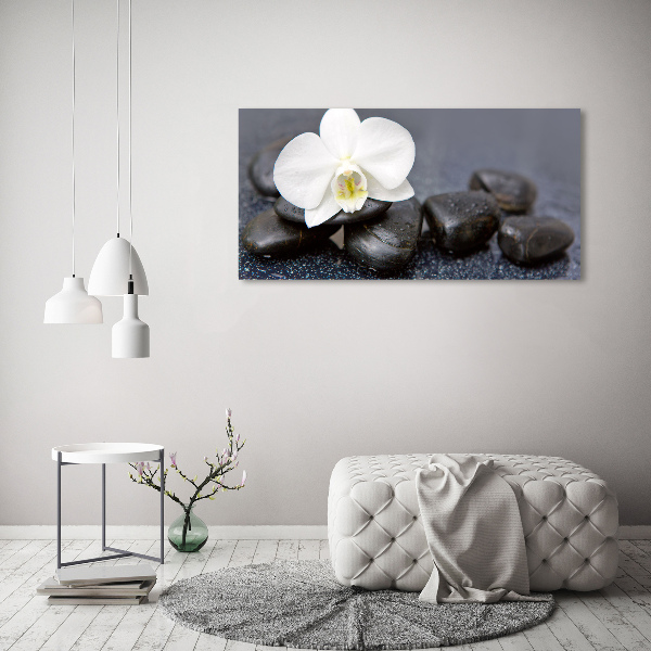 Foto schilderij op glas Orchidee