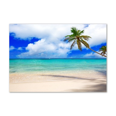 Schilderij glas Caribisch strand