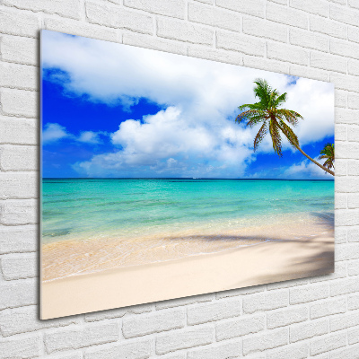 Schilderij glas Caribisch strand