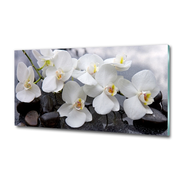 Schilderij op glas Orchidee