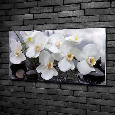 Schilderij op glas Orchidee