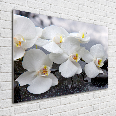 Schilderij op glas Orchidee