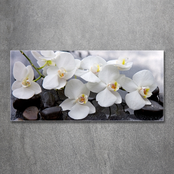 Schilderij op glas Orchidee