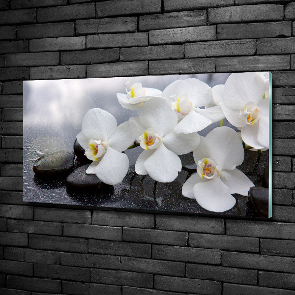 Glazen schilderij Orchidee