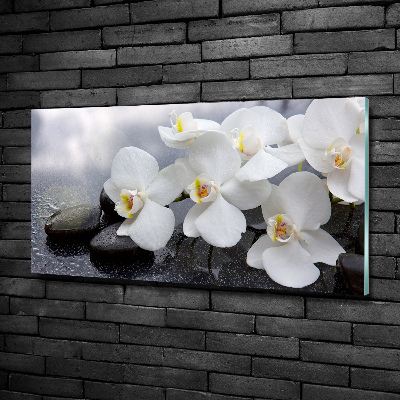 Glazen schilderij Orchidee