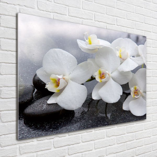 Glazen schilderij Orchidee