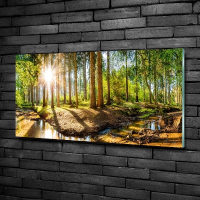 Foto schilderij op glas Panorama van het bos
