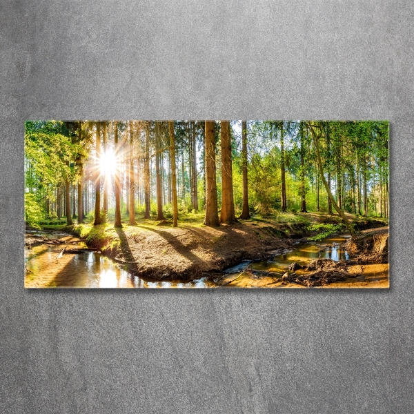 Foto schilderij op glas Panorama van het bos