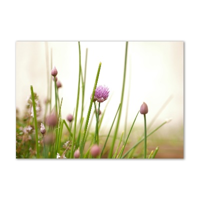 Foto schilderij op glas Bieslook