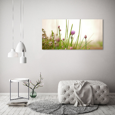 Foto schilderij op glas Bieslook