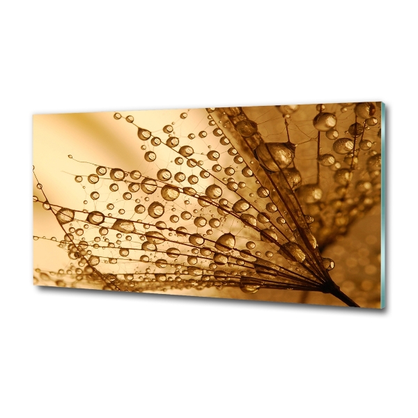 Glazen schilderij Paardenbloemzaden