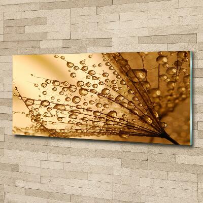 Glazen schilderij Paardenbloemzaden