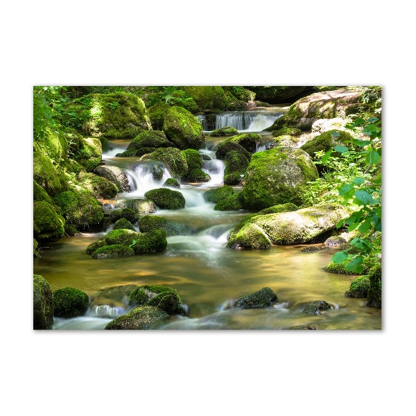 Glazen schilderij Waterval