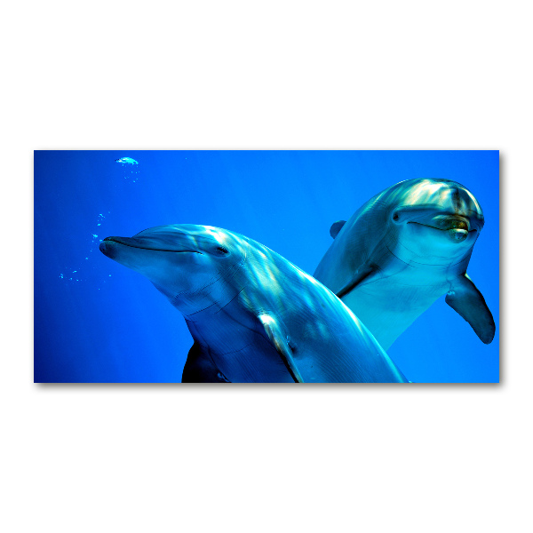 Schilderij op glas Twee dolfijnen