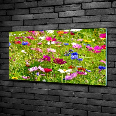 Schilderij glas Wilde bloemen