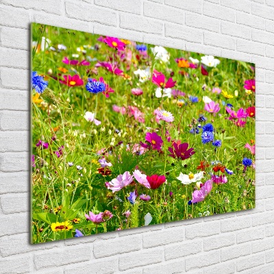 Schilderij glas Wilde bloemen